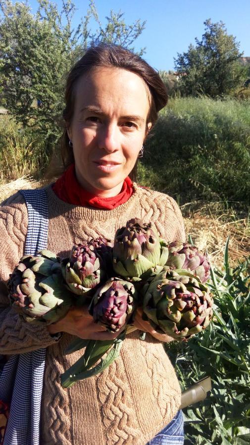 Aperanti Agrotourism Bed & Breakfast Pera Orinis Eksteriør bilde